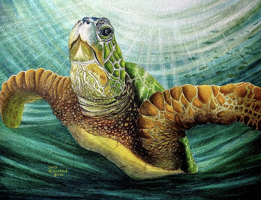 Turtle Painting - Diving the Depths by David Richardson
