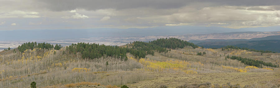 Dixie National Forest Panorama Photograph by Peter J Sucy