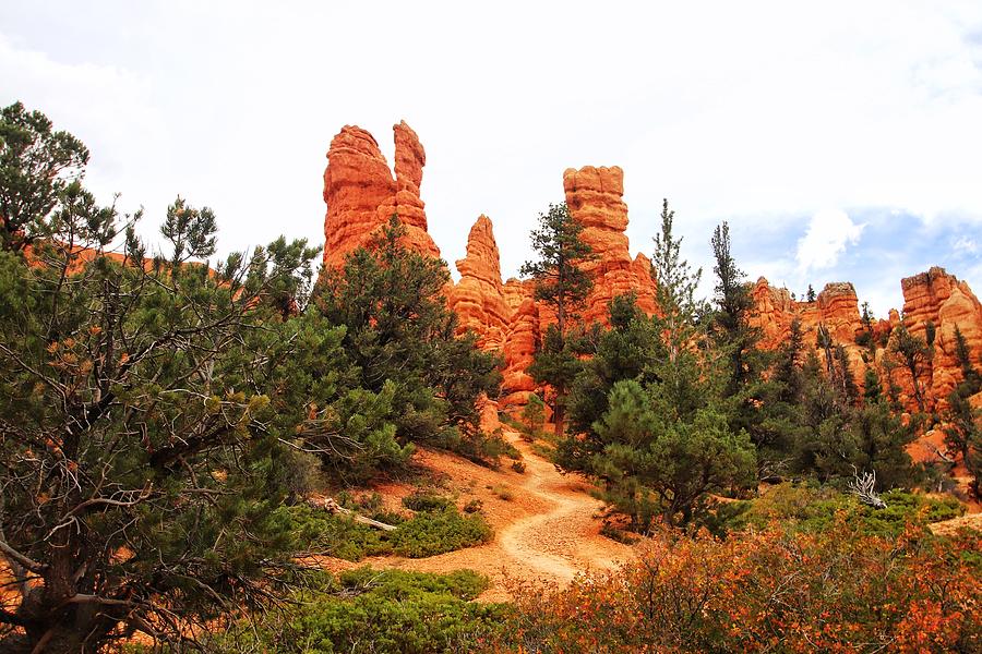 Dixie National Forest Red Canyon Utah Photograph