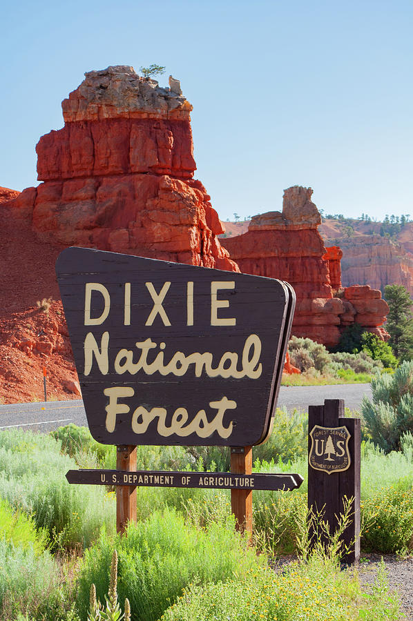 Dixie National Forest Red Rock Country Photograph by Kyle Hanson