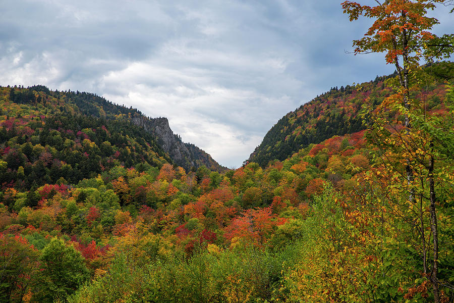 Dixville Autumn Hues Photograph by White Mountain Images