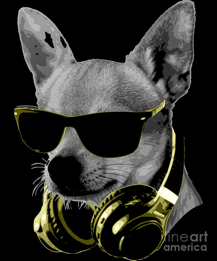 Cool DJ Cat Digital Art by Megan Miller - Fine Art America