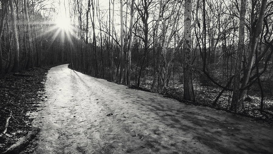 DL Trail Icy Pathway Black and White Photograph by Jason Fink