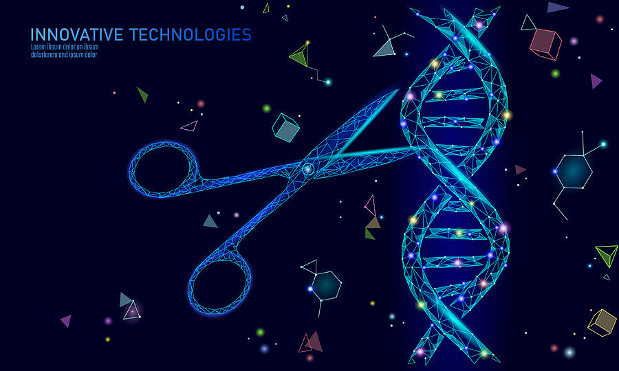 DNA 3D structure editing medicine concept. Low poly polygonal triangle gene therapy cure genetic disease. GMO engineering CRISPR Cas9 innovation modern technology science banner vector illustration Drawing by LuckyStep48