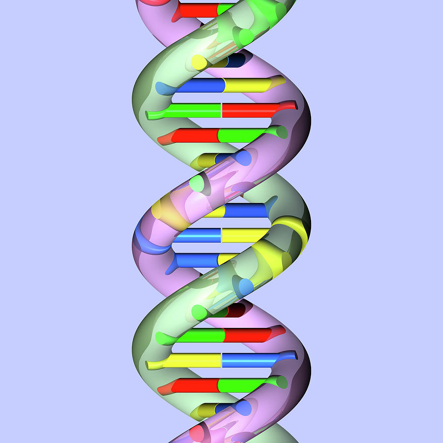 DNA 9b Digital Art by Russell Kightley