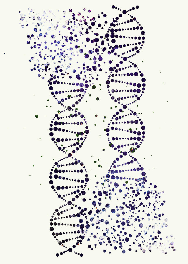 Dna Art Print Double Helix Science Art Watercolor Poster Genetics Art 