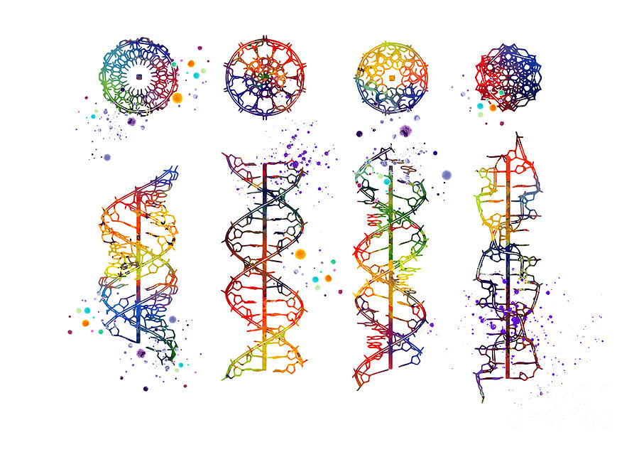 Dna Digital Art - DNA Helix A-B-C-Z Art Colorful Watercolor Gift Medical Art Genetics Doctor Gift by White Lotus