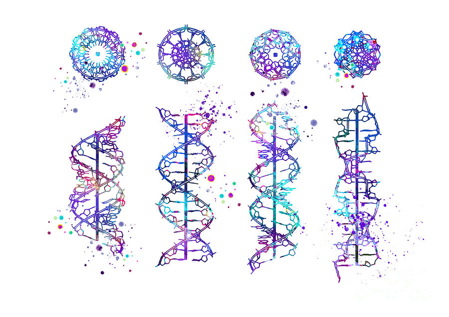 Dna Digital Art - DNA Helix A-B-C-Z Art Medical Art Colorful Blue Purple Gift Genetics Doctor Gift by White Lotus