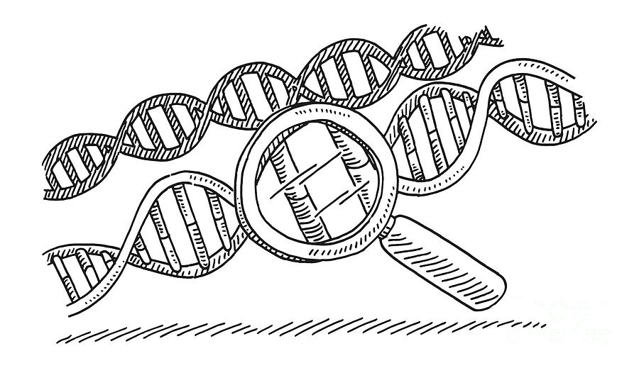 Black And White Drawing - DNA Magnifying Glass Medicine Research Drawing by Frank Ramspott