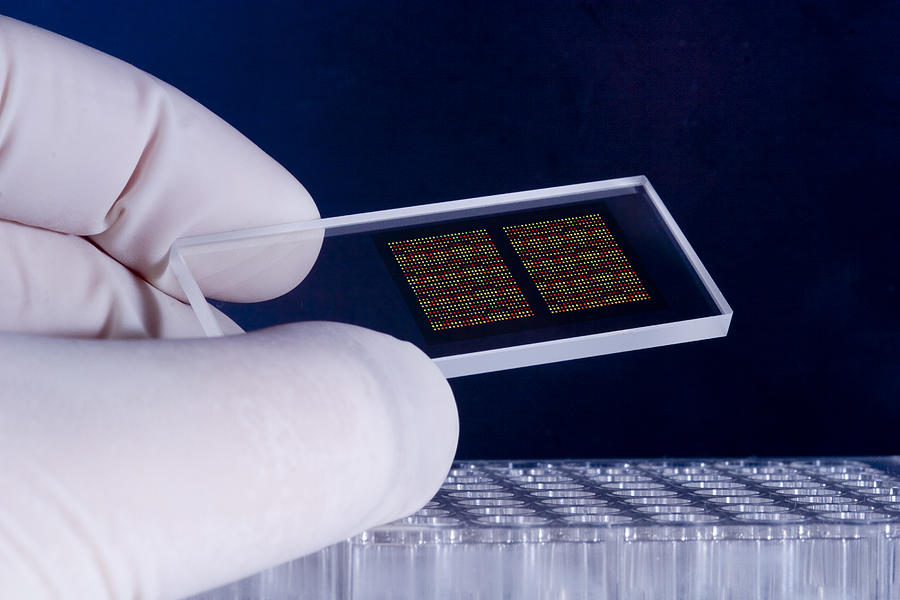 DNA microarray chips Photograph by Dra_schwartz