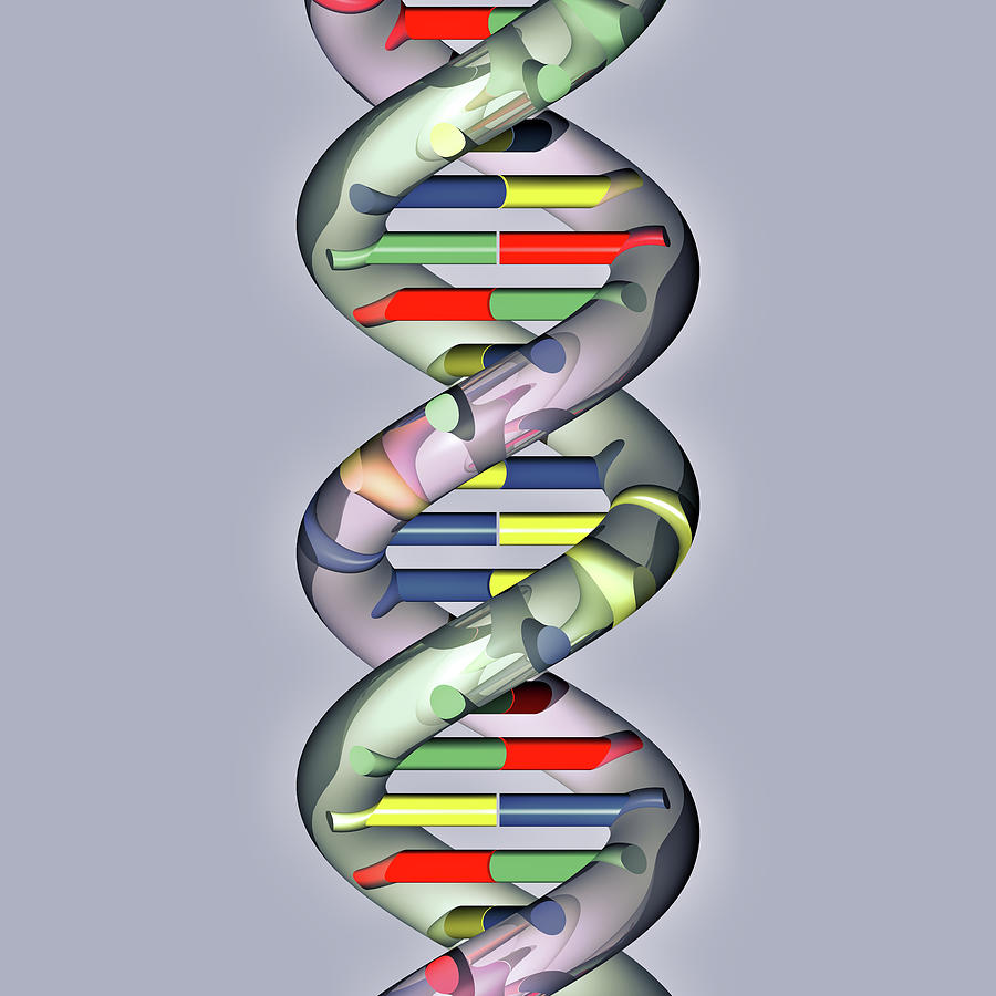 DNA Rainy Day 9T2 Digital Art by Russell Kightley