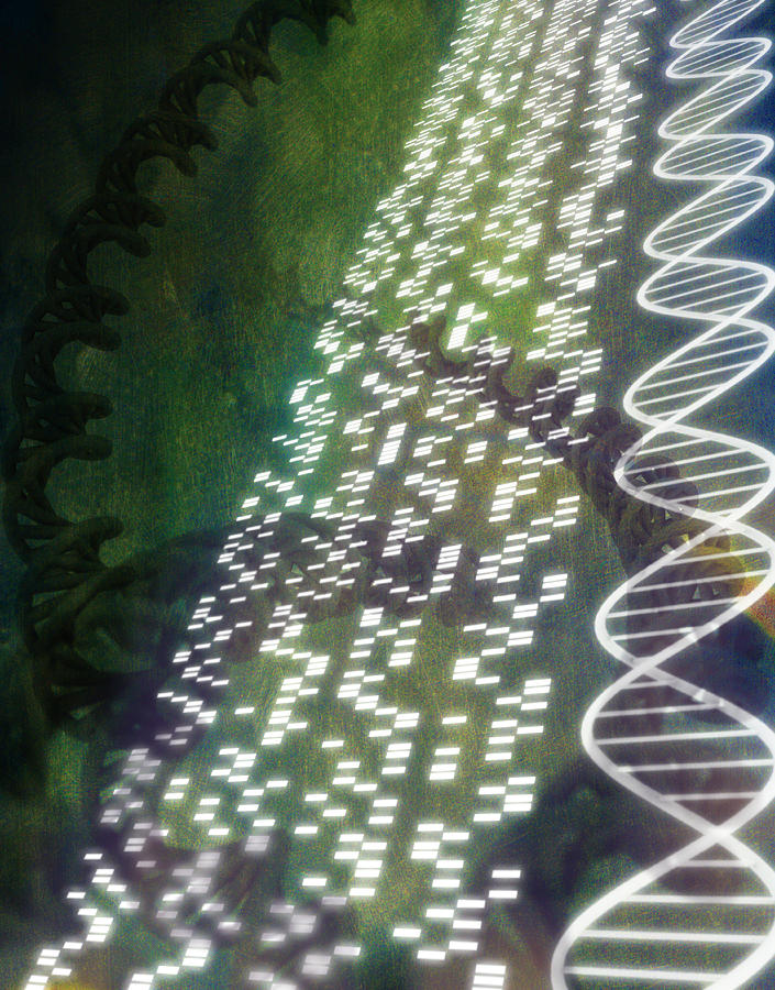DNA sequence and helix models (Digital) Drawing by Chad Baker