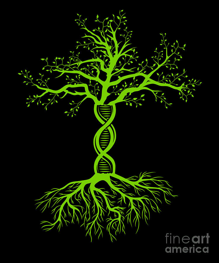 DNA Tree Genealogist Tree Genealogy Family Gift Digital Art by Thomas ...