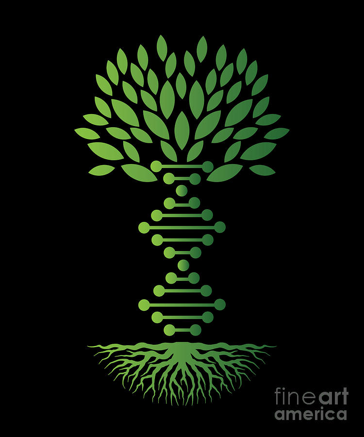 DNA Tree Genealogy Family Historian Gift Digital Art by Thomas Larch ...