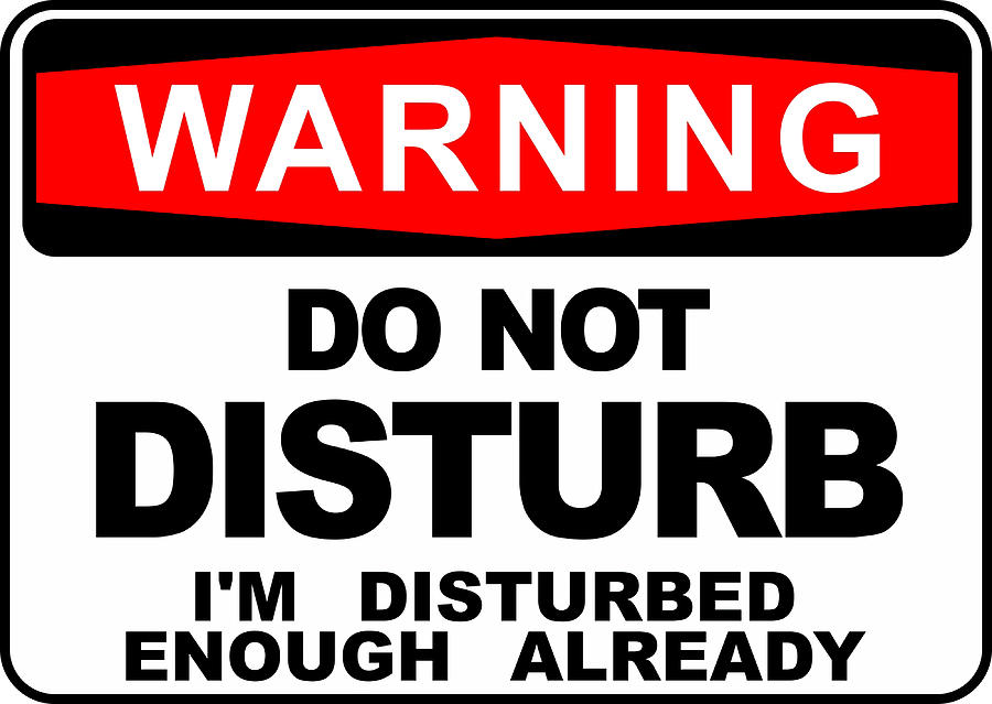 Do Not Disturb I Am Disturbed Enough Already Painting by Palmer Beth ...