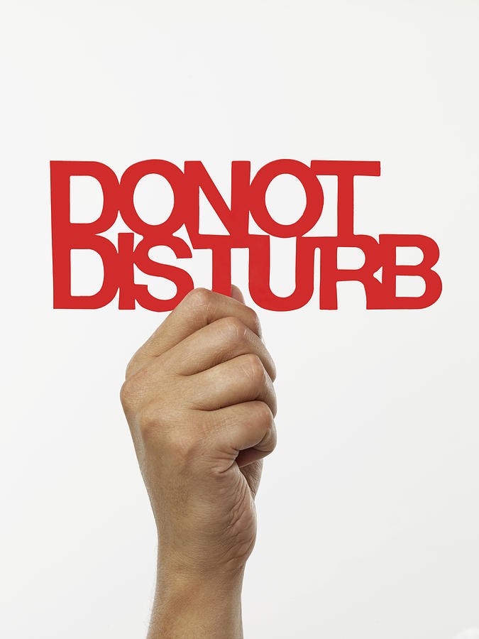 Do Not Disturb Photograph by Kemalbas