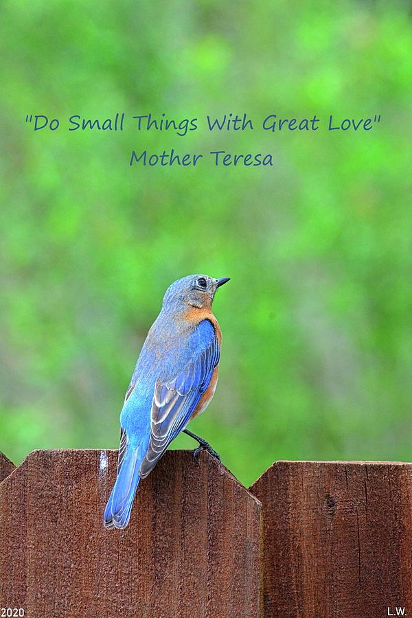 Do Small Things With Great Love Photograph by Lisa Wooten