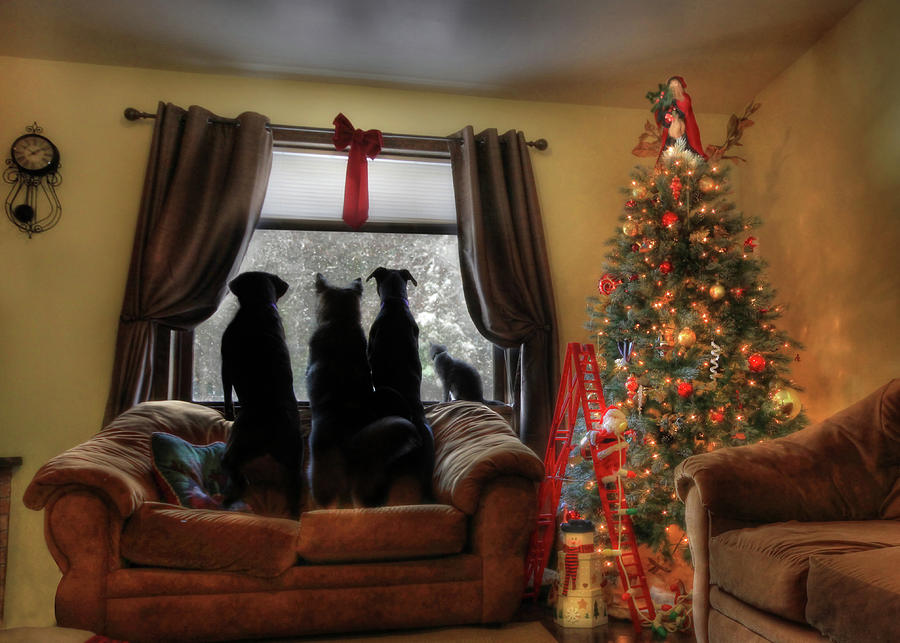 Christmas Photograph - Do You Hear What I Hear by Lori Deiter
