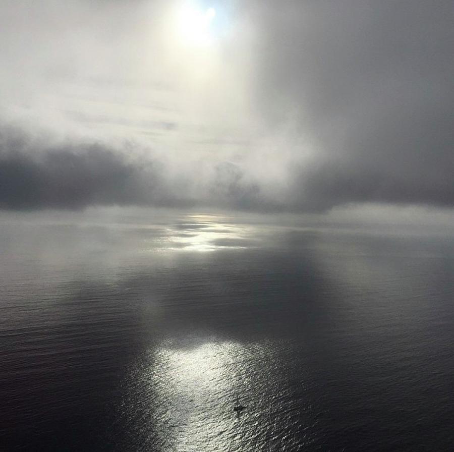 Do you know the way to Catalina Island? Photograph by Janiece OBrien ...