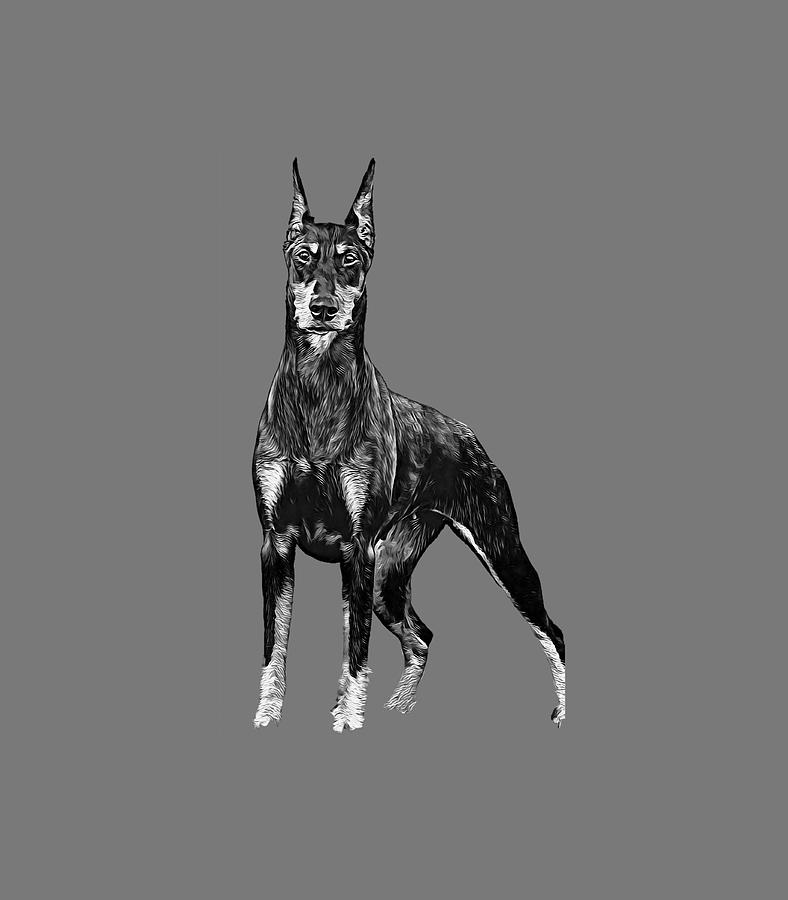 White and best sale black doberman