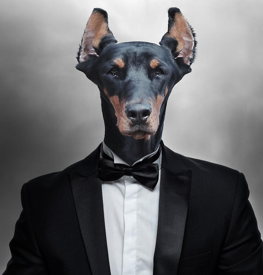 Doberman Pinscher Dog In Tuxedo Surreal Digital Art