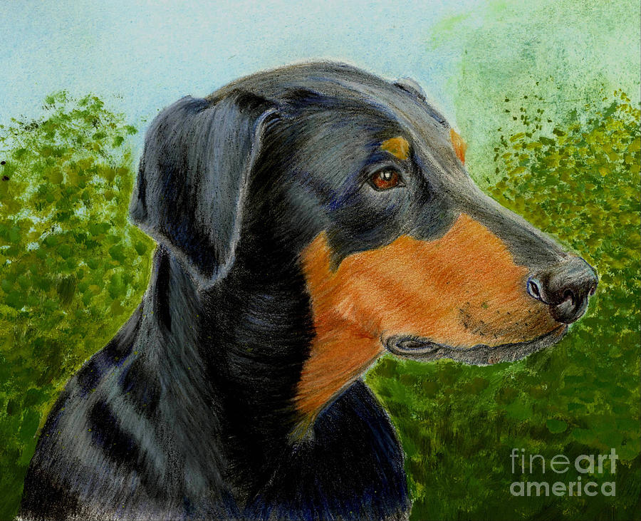 Animal Painting - Doberman Pinscher by Ruth Seal