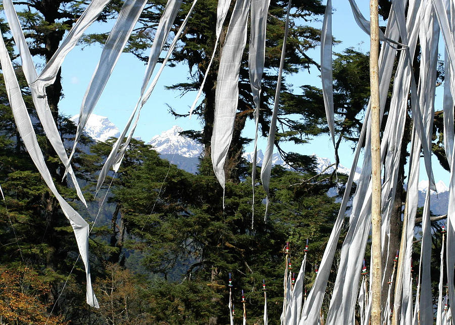 The Prayer Flags of Dochu La Pass ,Bhutan Photograph by Leslie Struxness