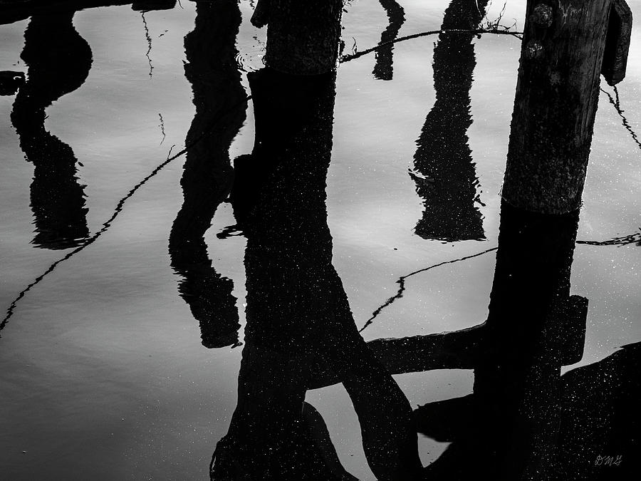Dock Reflections BW Photograph by David Gordon