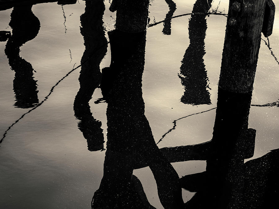 Dock Reflections Toned Photograph by David Gordon