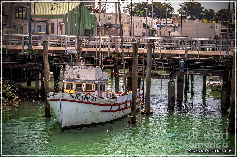 Docked by the Bay Photograph by Scott Parker