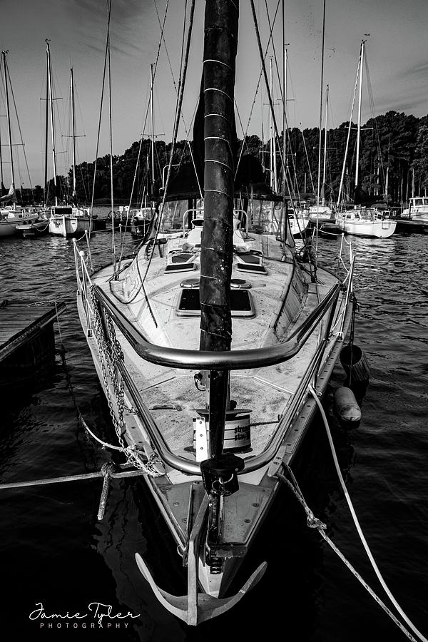 Docked Photograph by Jamie Tyler