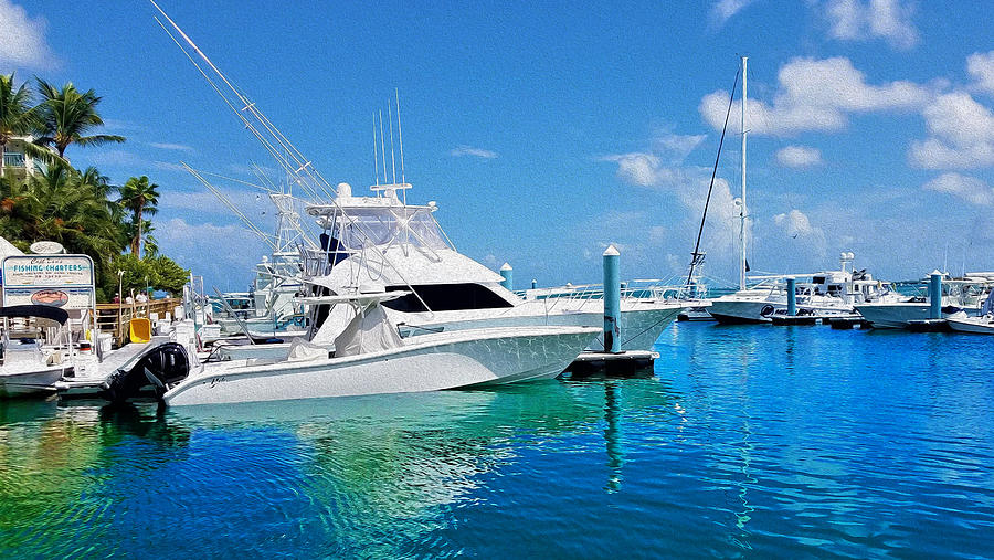 Docks of Key West 4 Digital Art by Aldane Wynter