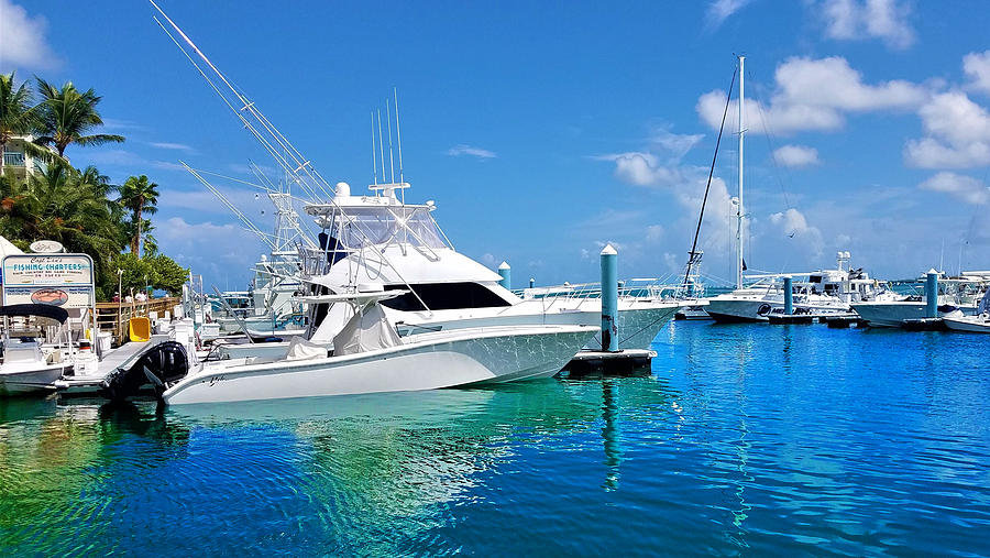 Docks of Key West 5 Digital Art by Aldane Wynter