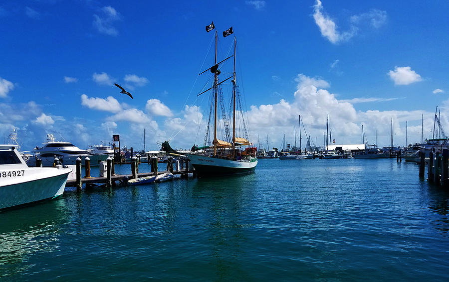 Pier Digital Art - Docks of Key West 6 by Aldane Wynter