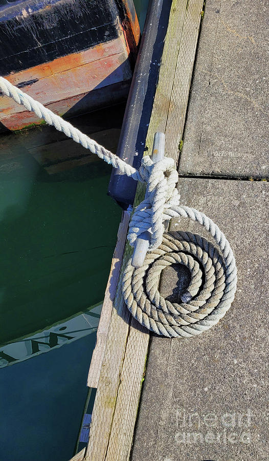 Dockside Coil Photograph by Norma Appleton