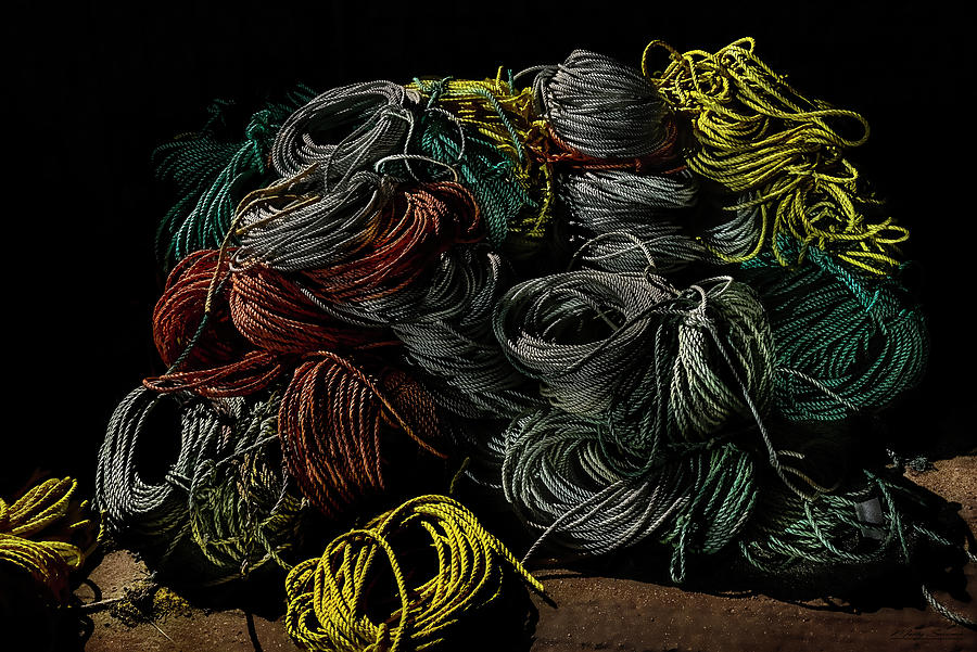 Dockside Ropes Still Life Photograph by Marty Saccone