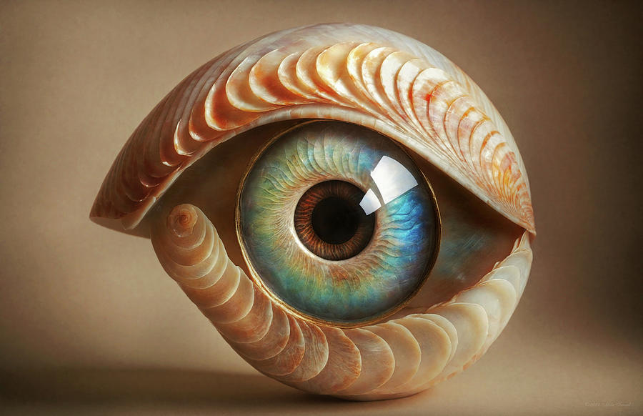 Doctor - Optometrist - Eyes like shells reveal hidden treasures Photograph by Mike Savad