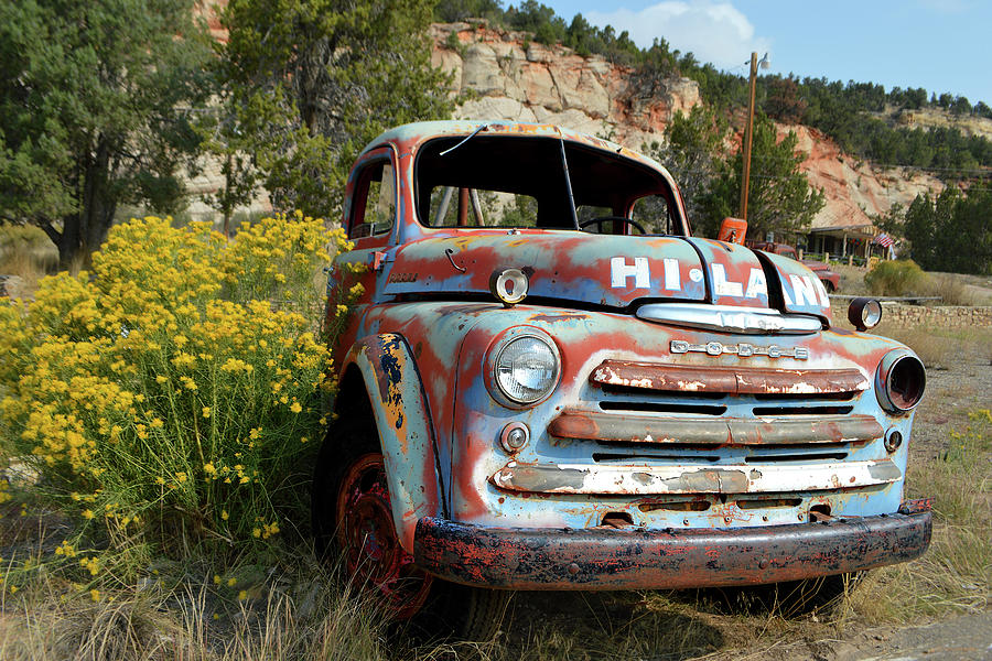 Dodge B Pickup - Along The Road Photograph
