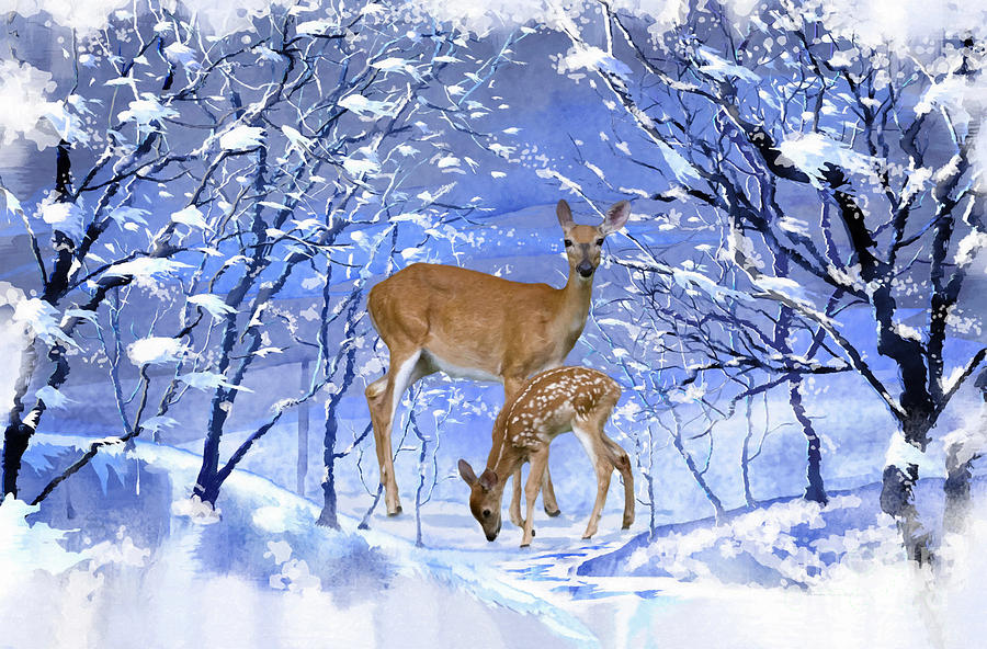 Doe And Her Fawn Winter Scene Mixed Media by Sandi OReilly