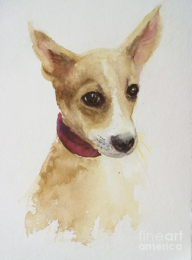 Doe eyed puppy Painting by Asha Sudhaker Shenoy