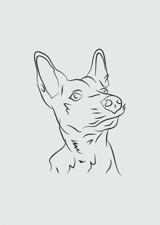 Dog 3f Grey Digital Art