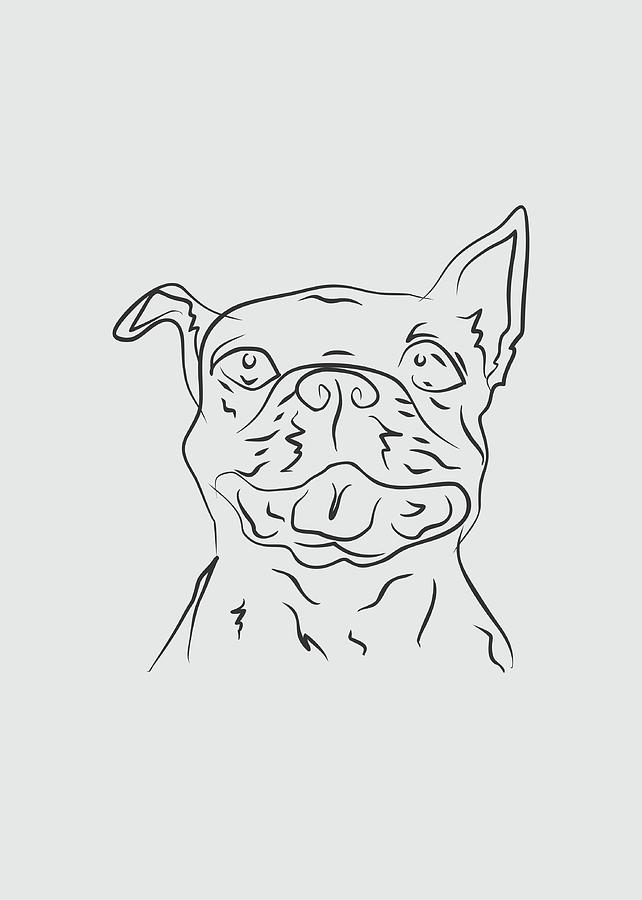 Dog 4f Grey Digital Art