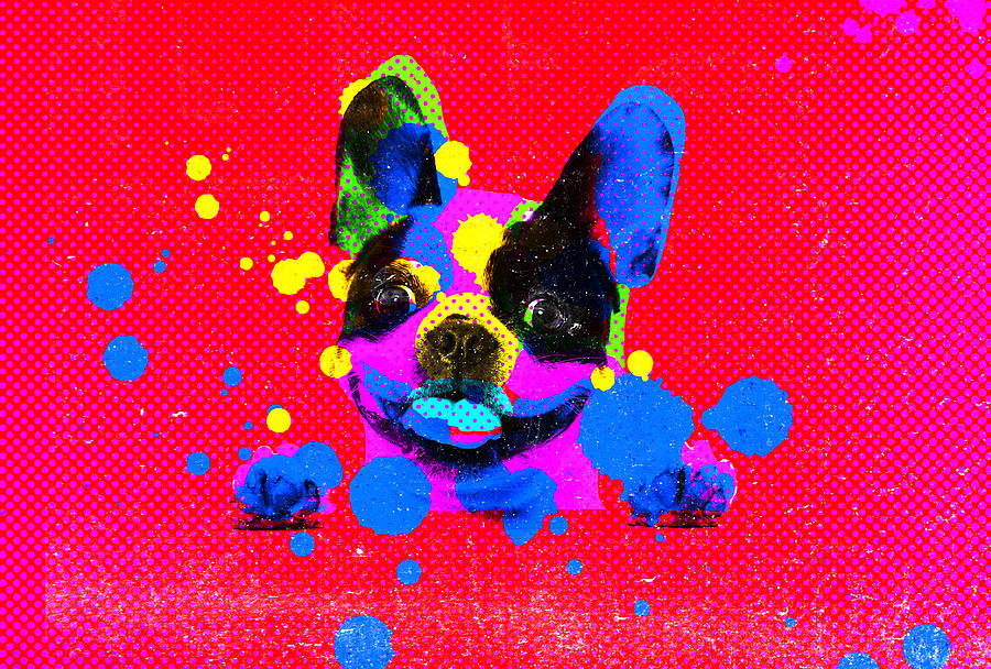 Dog Abstract Mixed Media by Eena Bo