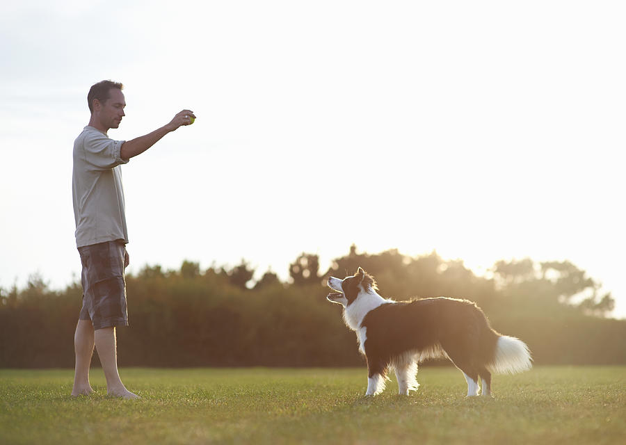 Dog and owner playing with ball in field. Photograph by Dougal Waters
