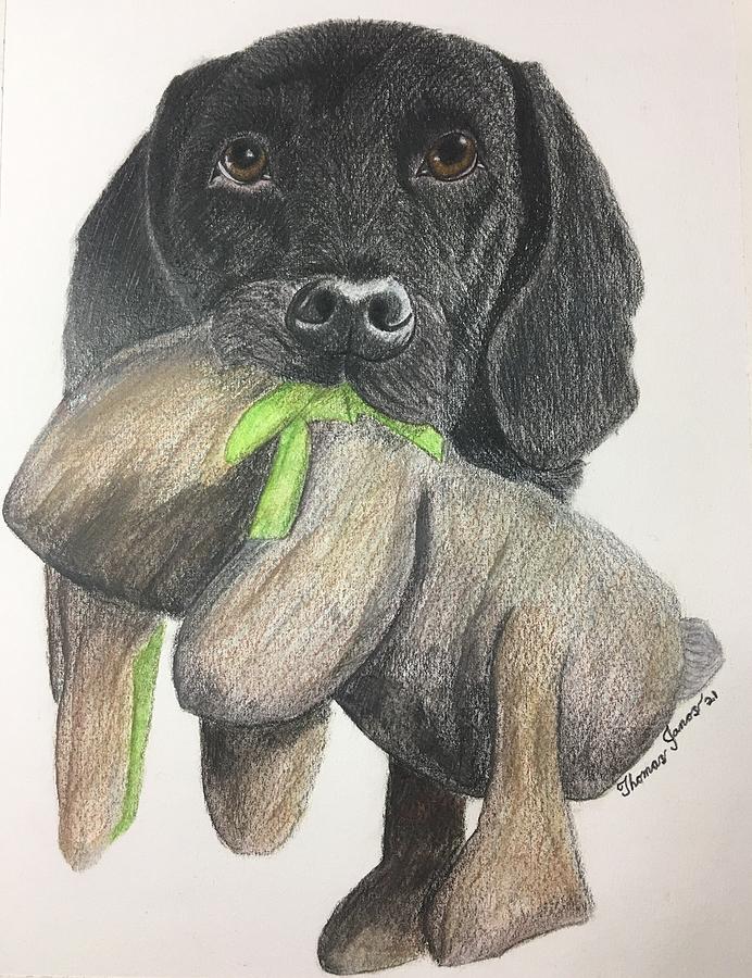 Dog and Toy Drawing by Thomas Janos