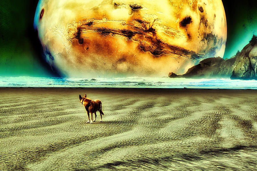 Dog at Mars-rise Digital Art by Bruce Block