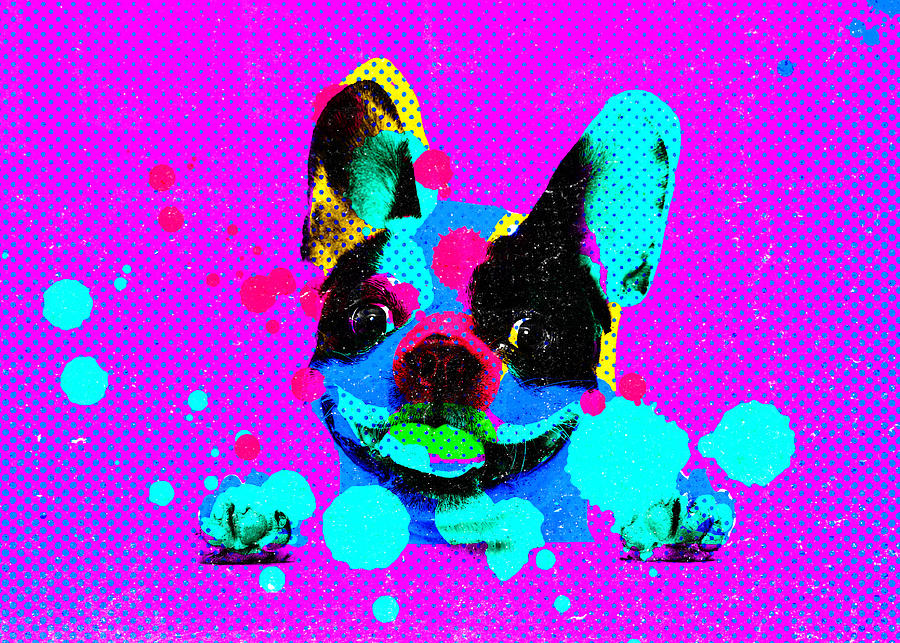 Dog Collage Digital Art by Eena Bo