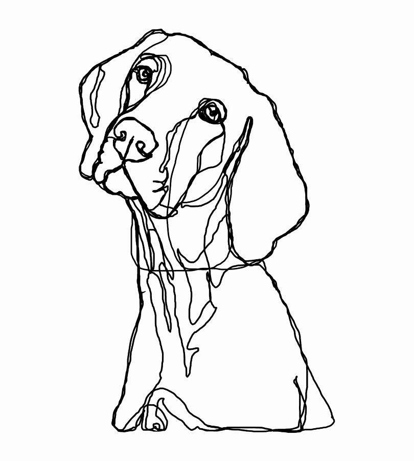 Dog Continuous Contour Drawing Digital Art by Curtis Brown Pixels