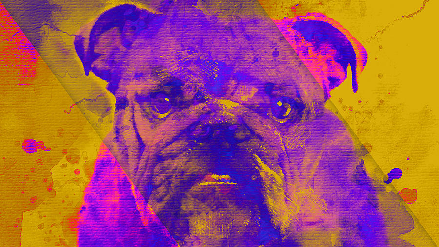 Dog Day Afternoon Mixed Media by Marvin Blaine