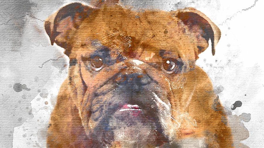 Dog Day Mixed Media by Marvin Blaine